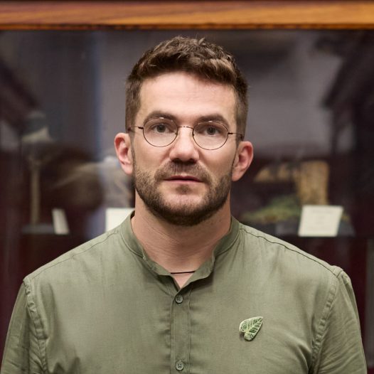 Alexandru Stermin